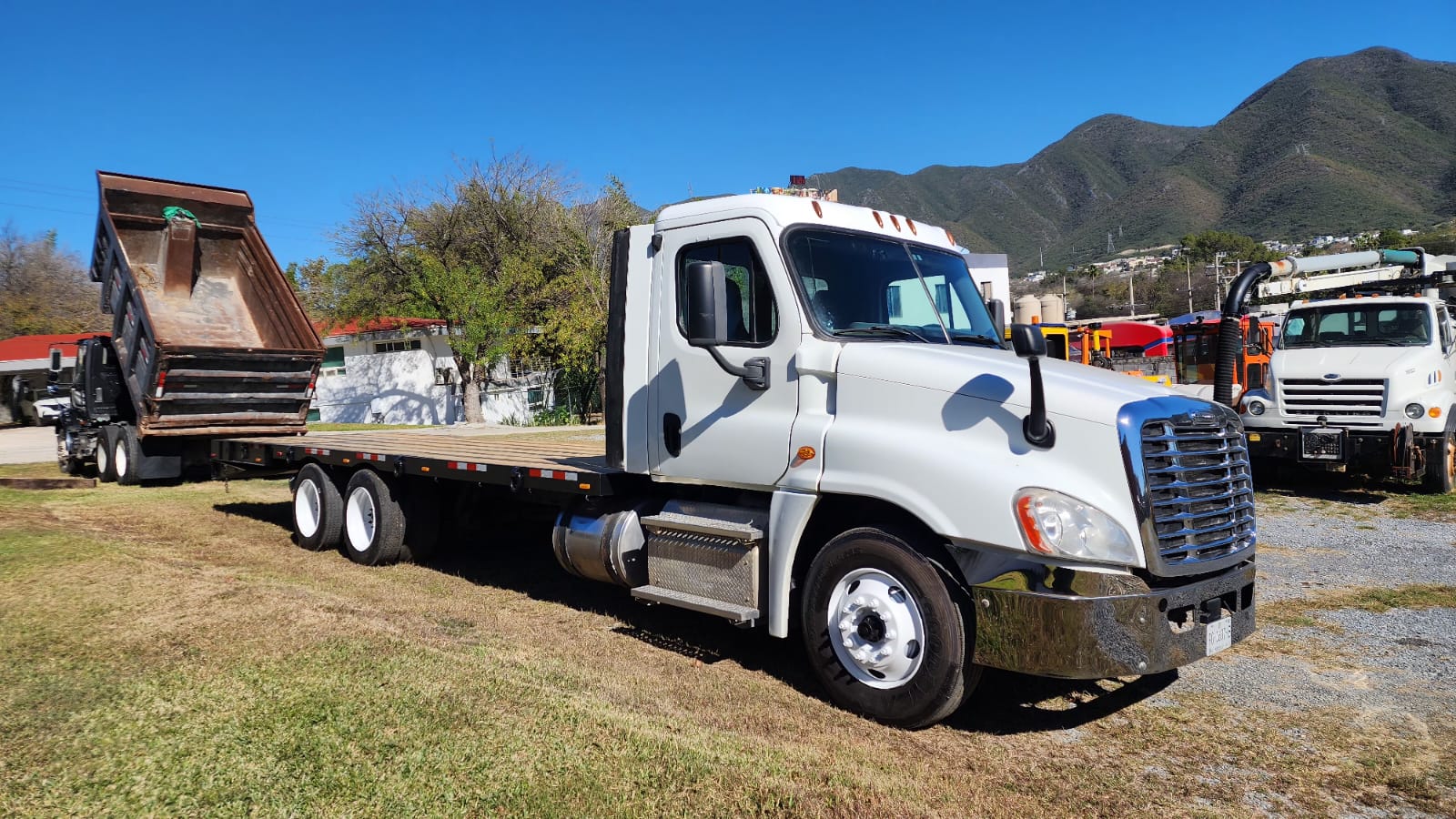 WhatsApp Image 2026-01-15 at 11.25.33 AM (1)